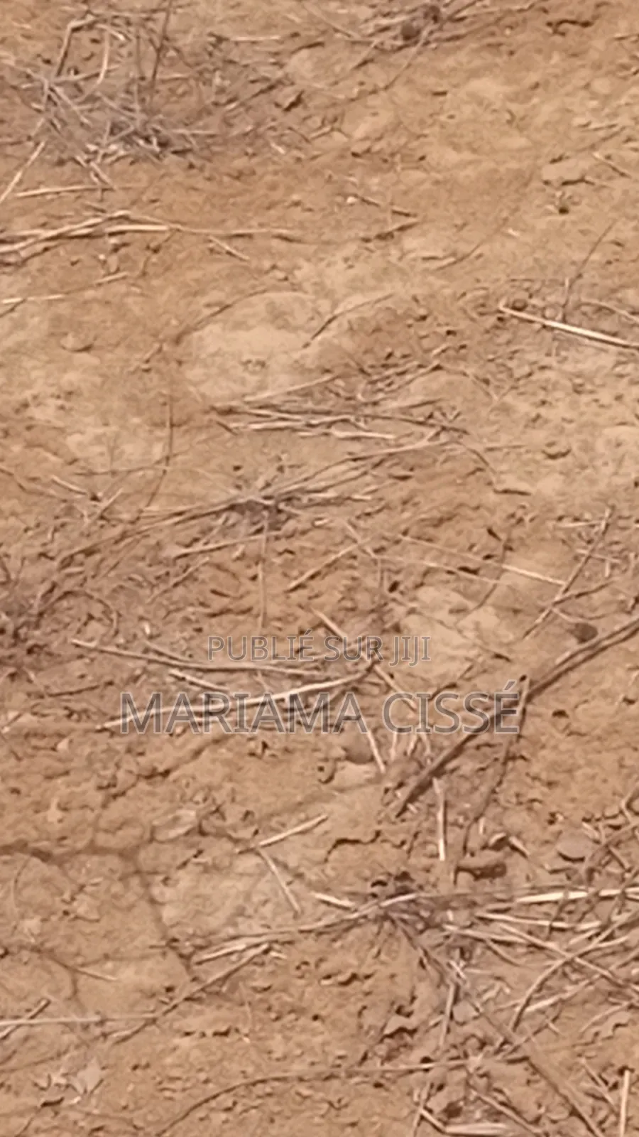 Terrain À Vendre À Poute Très Bien Place