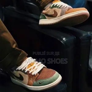 Air Jordan 1 Édition Spéciale Zion