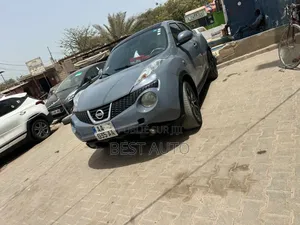 Photo - Nissan Juke 2013 Bleu
