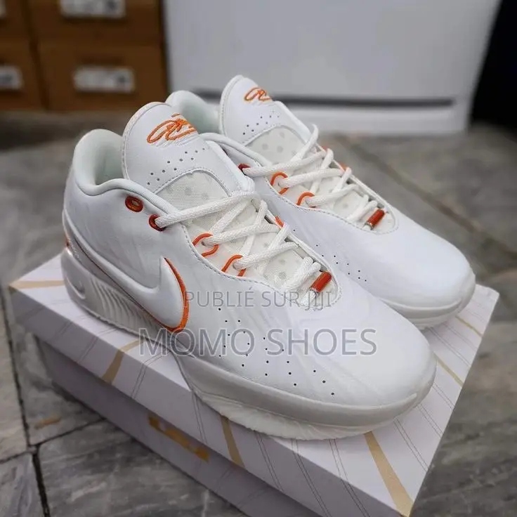 Nike Lebron 21 Neuves – Style Performance