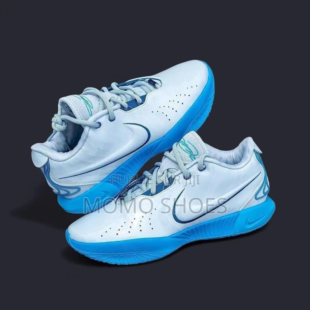 Nike Lebron 21 Neuves – Style Performance
