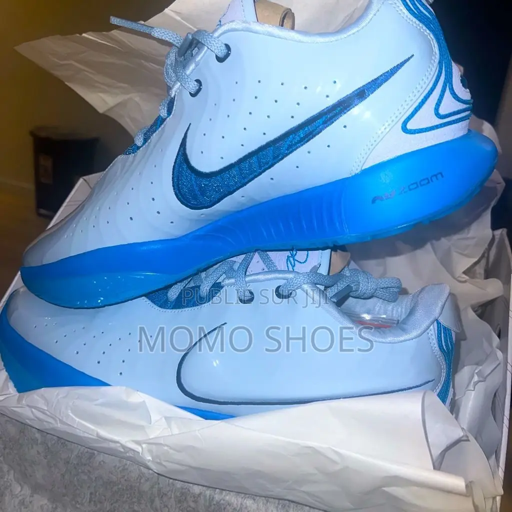 Nike Lebron 21 Neuves – Style Performance