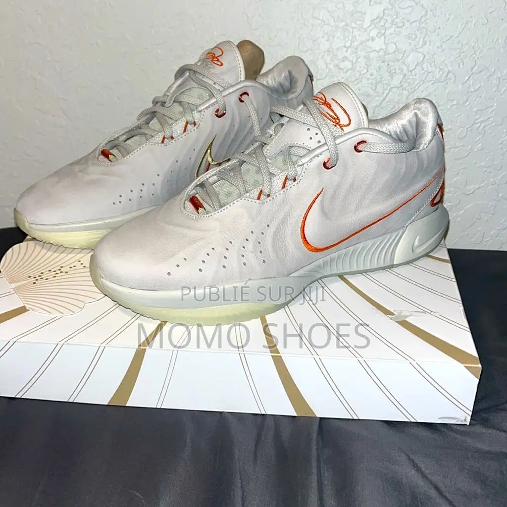 Nike Lebron 21 Neuves – Style Performance