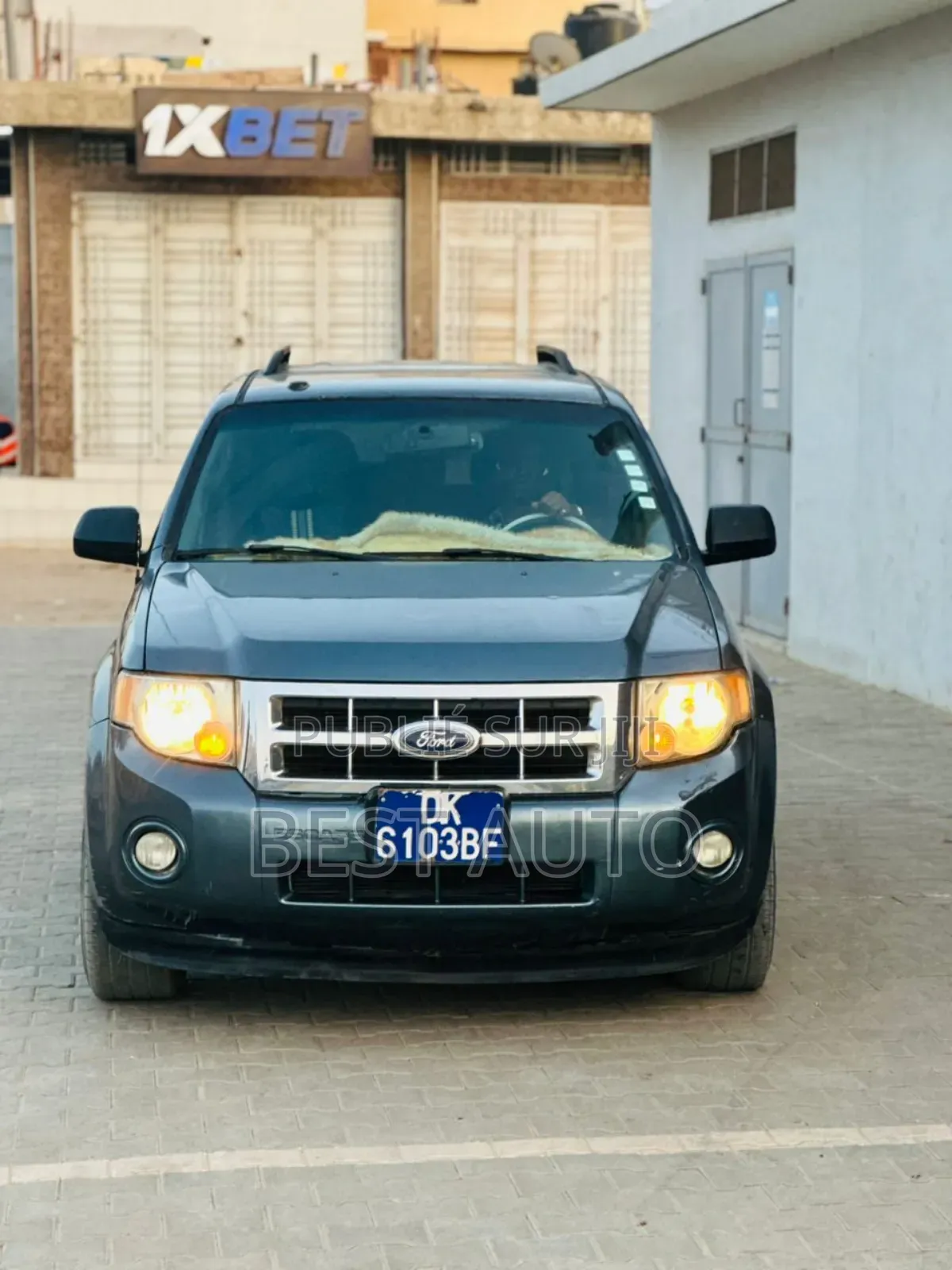 Ford Escape 2010 Gris