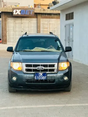 Photo - Ford Escape 2010 Gris