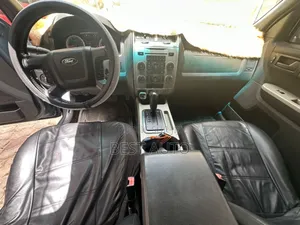 Ford Escape 2010 Gris