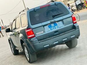 Ford Escape 2010 Gris