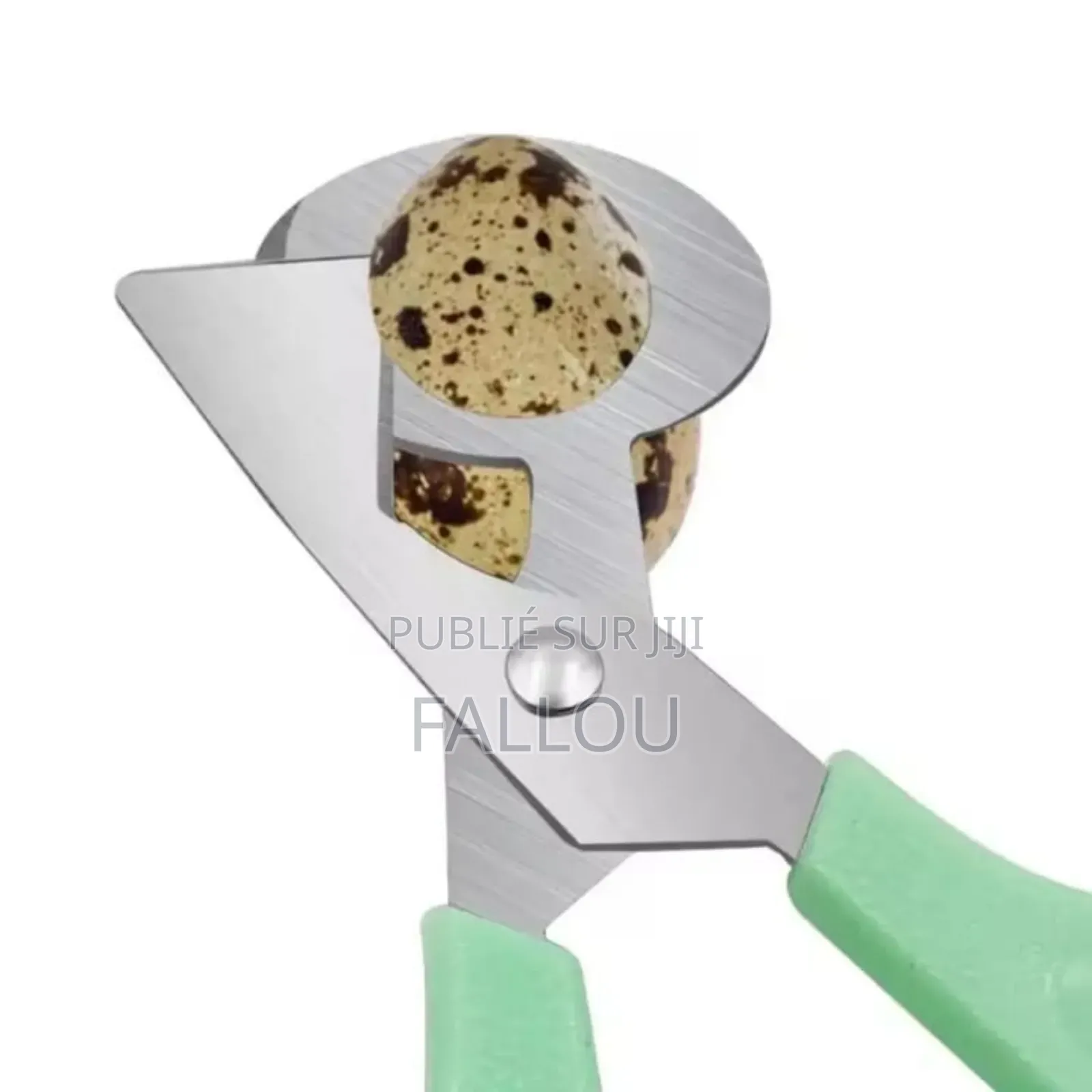 Matériel De Couveuse Automatique