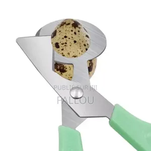 Photo - Matériel De Couveuse Automatique