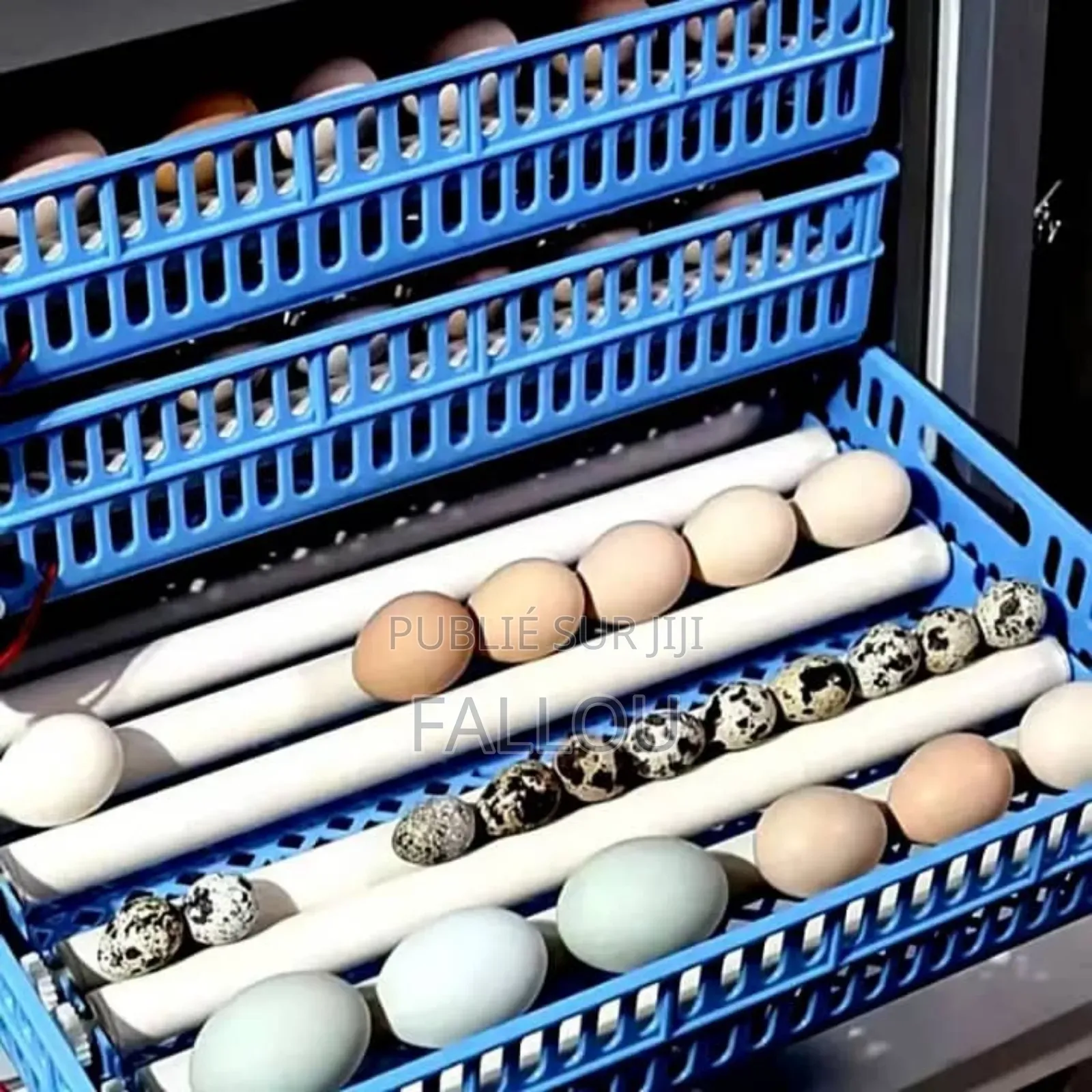 Matériel De Couveuse Automatique