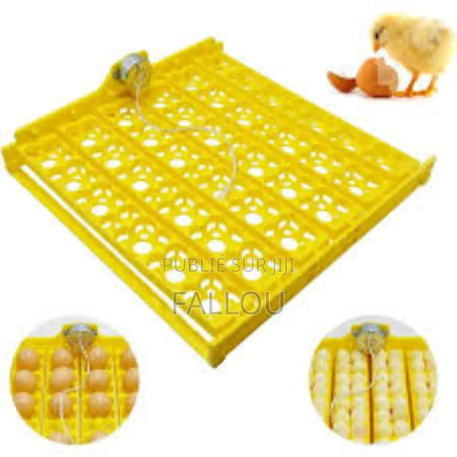 Matériel De Couveuse Automatique