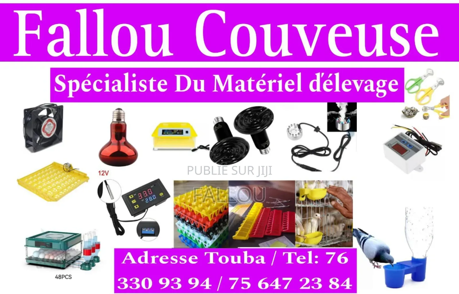 Matériel De Couveuse Automatique