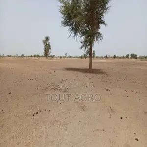 Photo - Terrain De 1,83 Hectare Vers Tassette