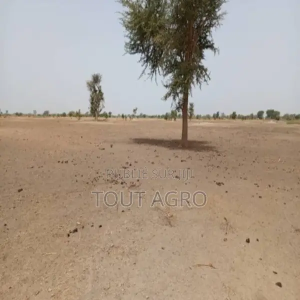 Terrain De 1,83 Hectare Vers Tassette