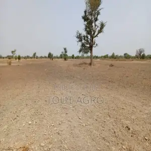 Terrain De 1,83 Hectare Vers Tassette