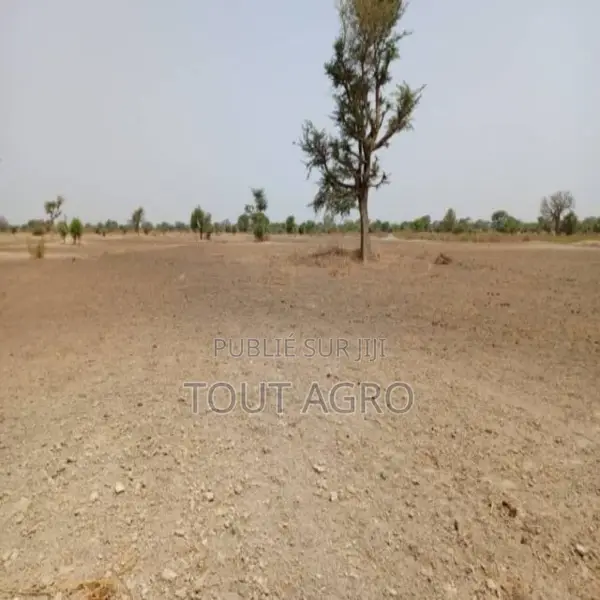 Terrain De 1,83 Hectare Vers Tassette