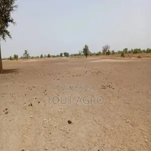 Terrain De 1,83 Hectare Vers Tassette