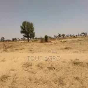 Photo - Terrain De 2,04 Hectares À Tassette