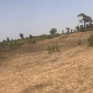 Photo - Terrain De 2,4 Hectares Vers Notto Diobass