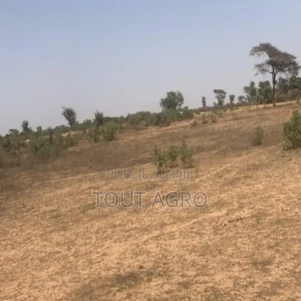 Terrain De 2,4 Hectares Vers Notto Diobass