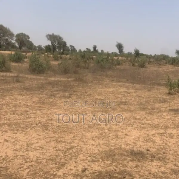 Terrain De 2,4 Hectares Vers Notto Diobass