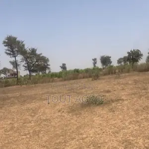 Terrain De 2,4 Hectares Vers Notto Diobass