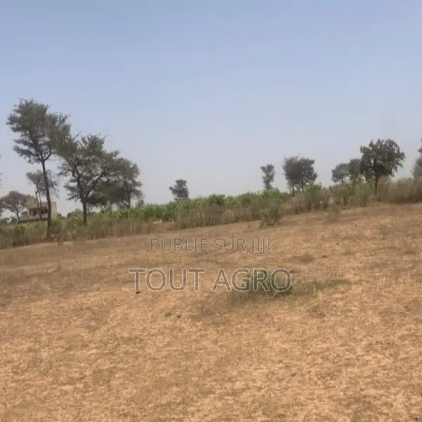 Terrain De 2,4 Hectares Vers Notto Diobass