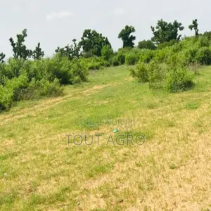 Photo - Terrain De 2,8 Hectares Vers Notto Diobass