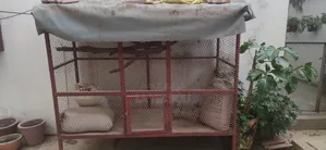 Grande Cage a Pigeons Neuve