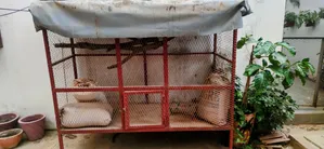Grande Cage a Pigeons Neuve