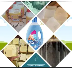 Photo - Formation en Saponification