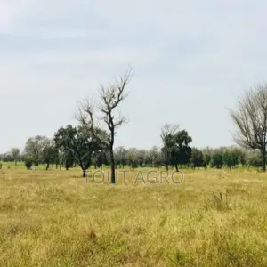 Photo - Terrain De 3 Hectares Vers Ngoundiane