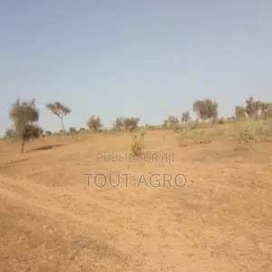 Photo - Terrain De 3 Hectares Vers Thiénaba