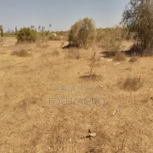 Photo - Terrain De 3,13 Hectares Vers Darou Khoudoss