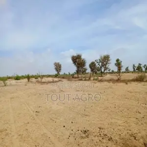 Photo - Terrain De 3,16 Hectares Vers Notto Diobass