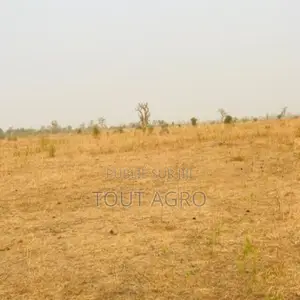 Photo - Terrain De 3,2 Hectares Vers Nguéniène