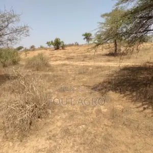 Photo - Terrain De 3,36 Hectares Vers Darou Khoudoss