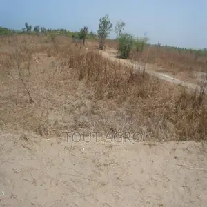 Photo - Terrain De 3,39 Hectares Vers Leona