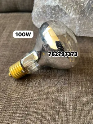 Photo - Ampoule Chauffante 275w 100w 60w