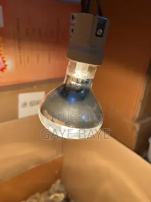 Ampoule Chauffante 275w 100w 60w