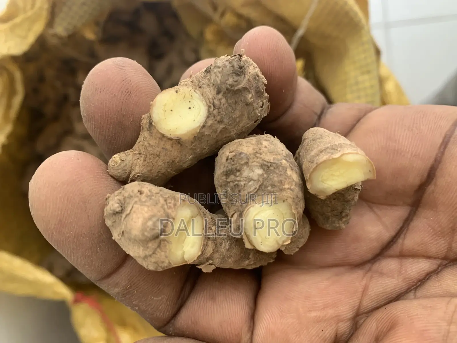 Sac Gingimbre Venant De Guinée Conakry