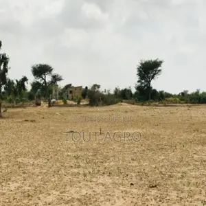 Photo - Terrain De 3,5 Hectares Vers Fandéne