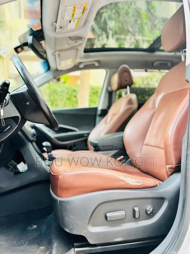 Hyundai Santa Fe Limited 4dr SUV AWD w/Saddle Interior (3.3L 6cyl 6A)