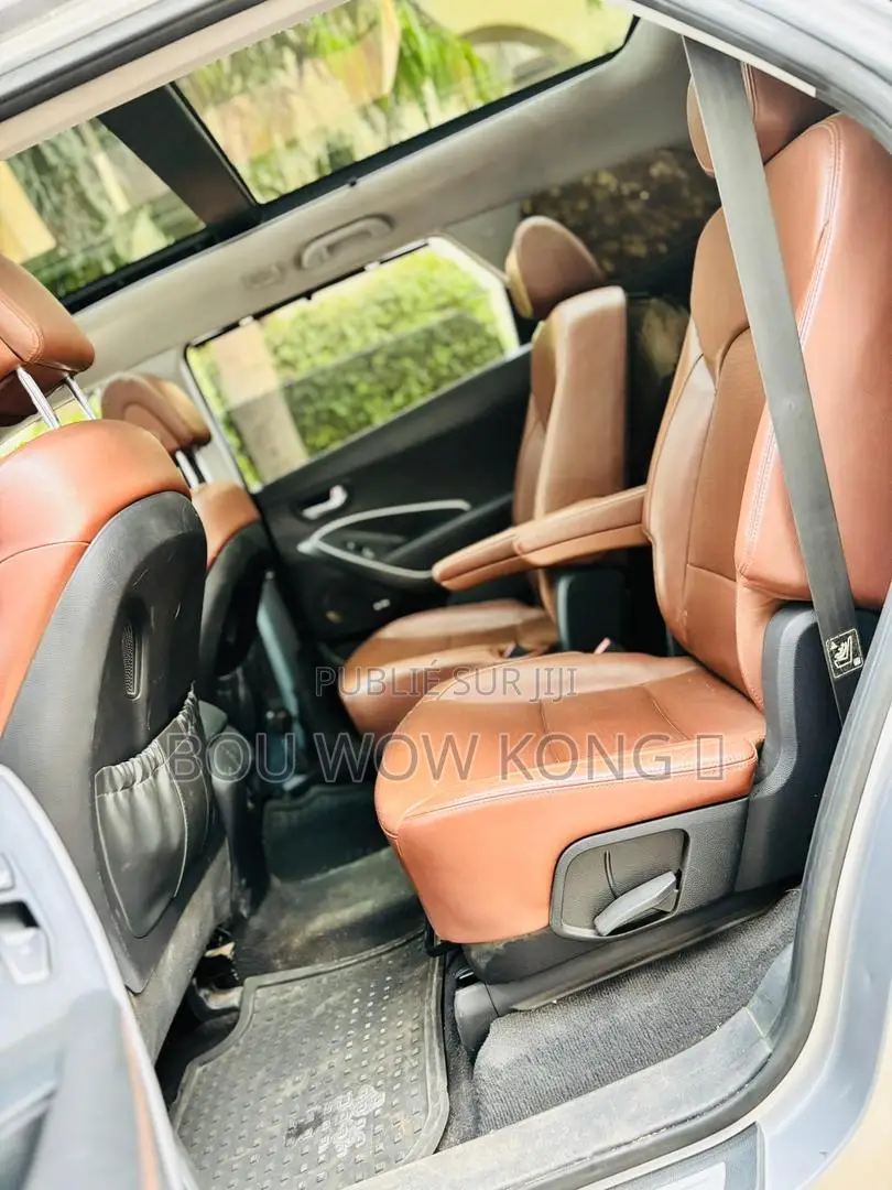Hyundai Santa Fe Limited 4dr SUV AWD w/Saddle Interior (3.3L 6cyl 6A)