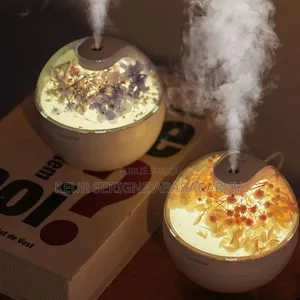 Diffuseur Boule 
Jolie Pour La Décoration Intérieure