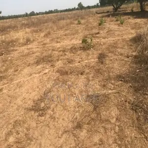 Photo - Terrain De 3,54 Hectares Vers Toubacouta