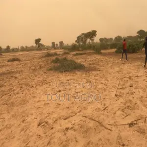 Photo - Terrain De 3,63 Hectares Vers Thiénaba