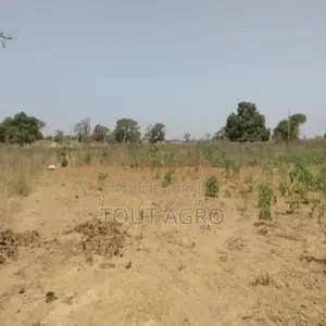 Photo - Terrain De 3,79 Hectares Vers Sindia