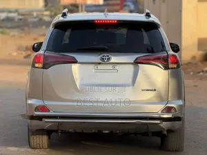Toyota RAV4 2017 Gris
