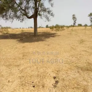 Photo - Terrain De 3,84 Hectares Vers Patar